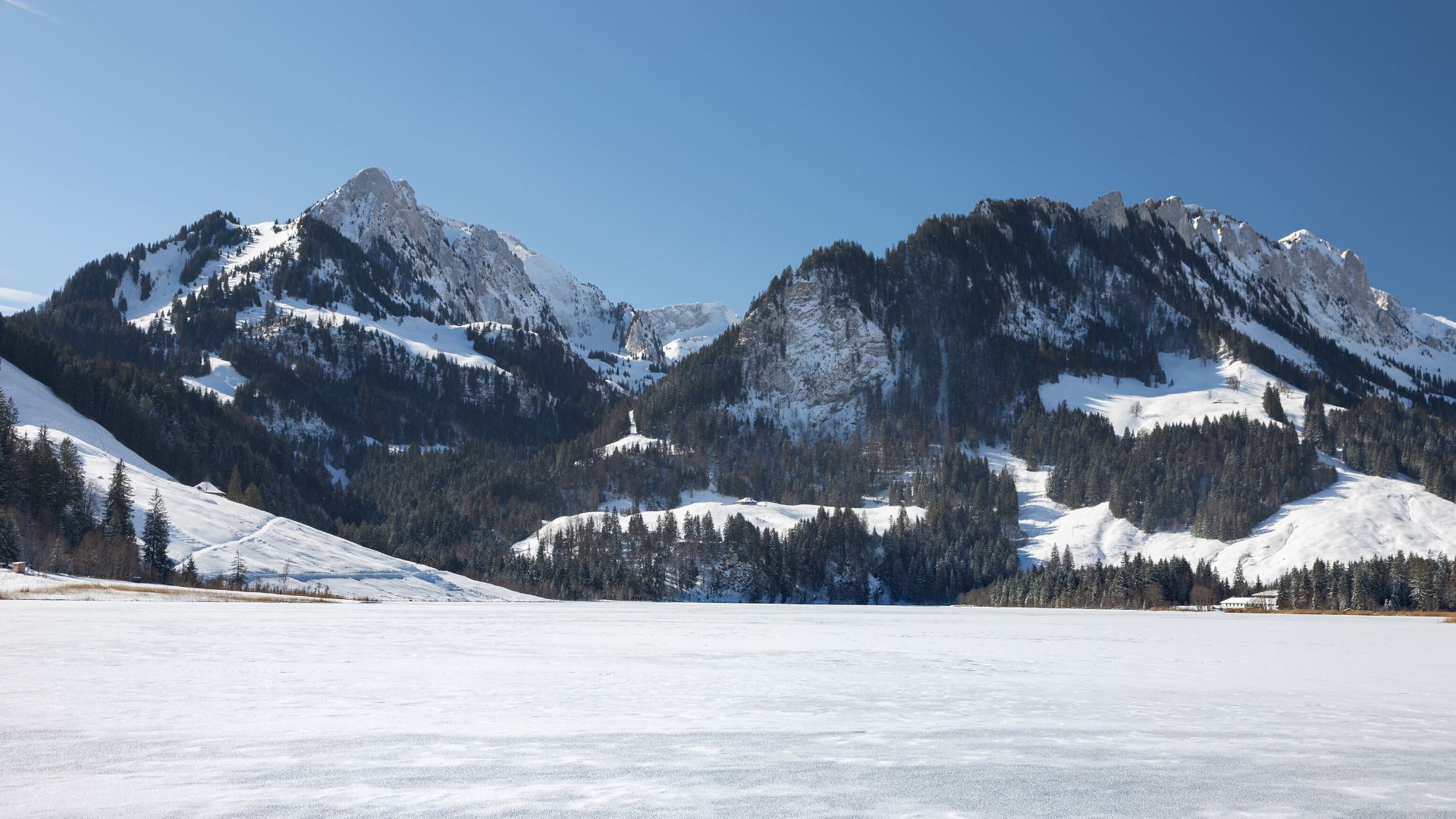 Lac noir gelé, Schwarzsee, en Suisse